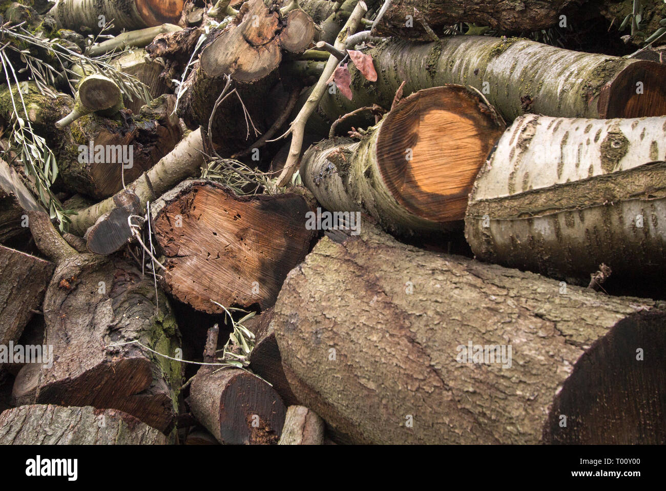 Wood as biofuel is still popular for public buildings like historical  Turkish Baths (hamam). This pile was in front of one of these baths in  Iznik, Bu Stock Photo - Alamy