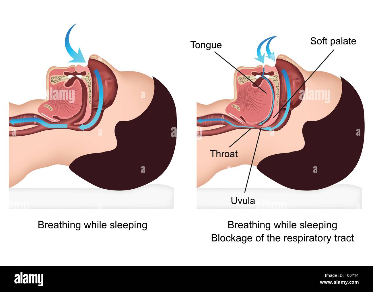 funny heavy breathing during sleep