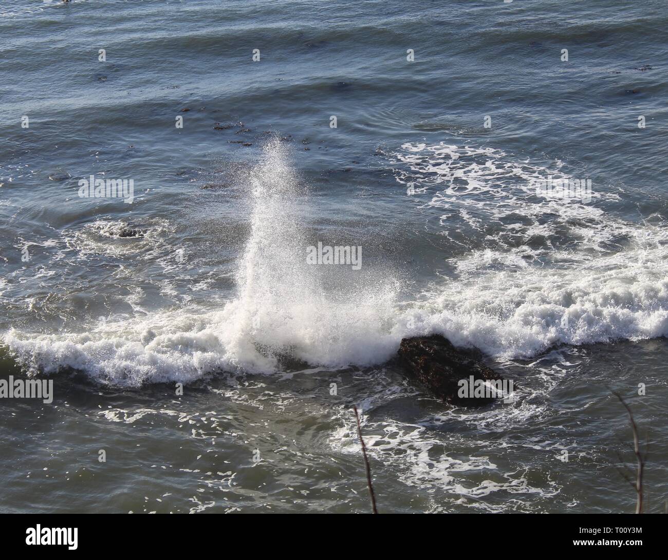 Ocean wave water spout Stock Photo Alamy