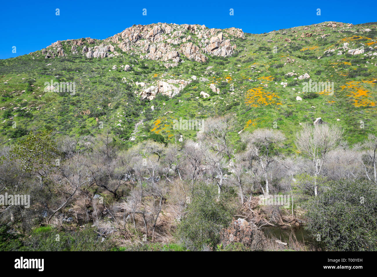 Mission Trails Regional Park, San Diego, California, USA Stock Photo