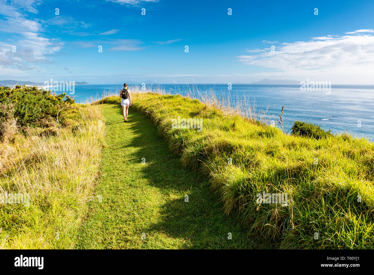 walking woman on along northland beach New Zealand Stock Photo