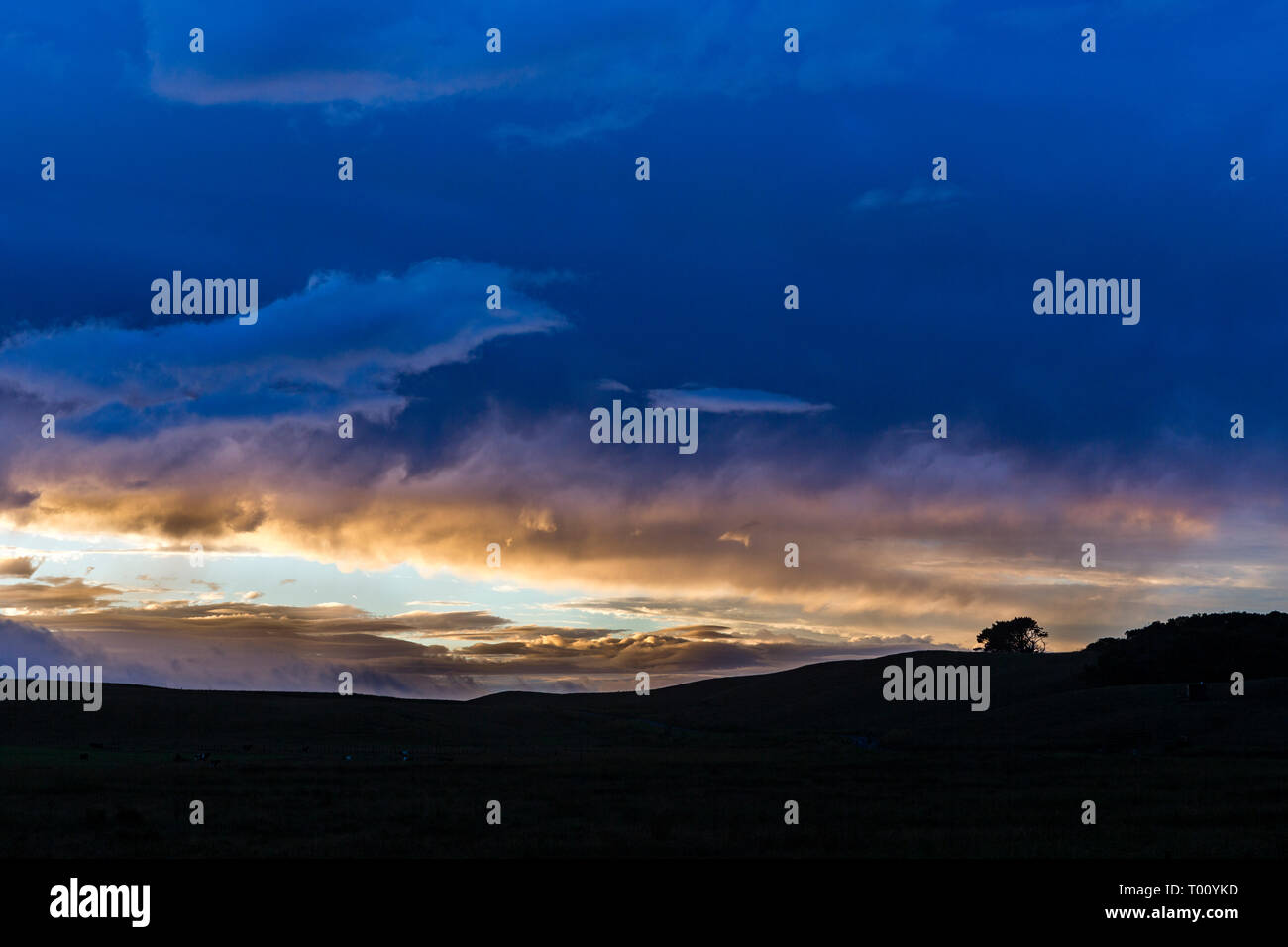 Sunset at Rarawa Campsite, Dramatic Clouds, North Island, Auckland, New Zealand Stock Photo