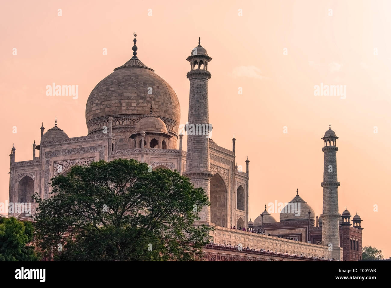 Taj Mahal mausoleum in Agra, India Stock Photo