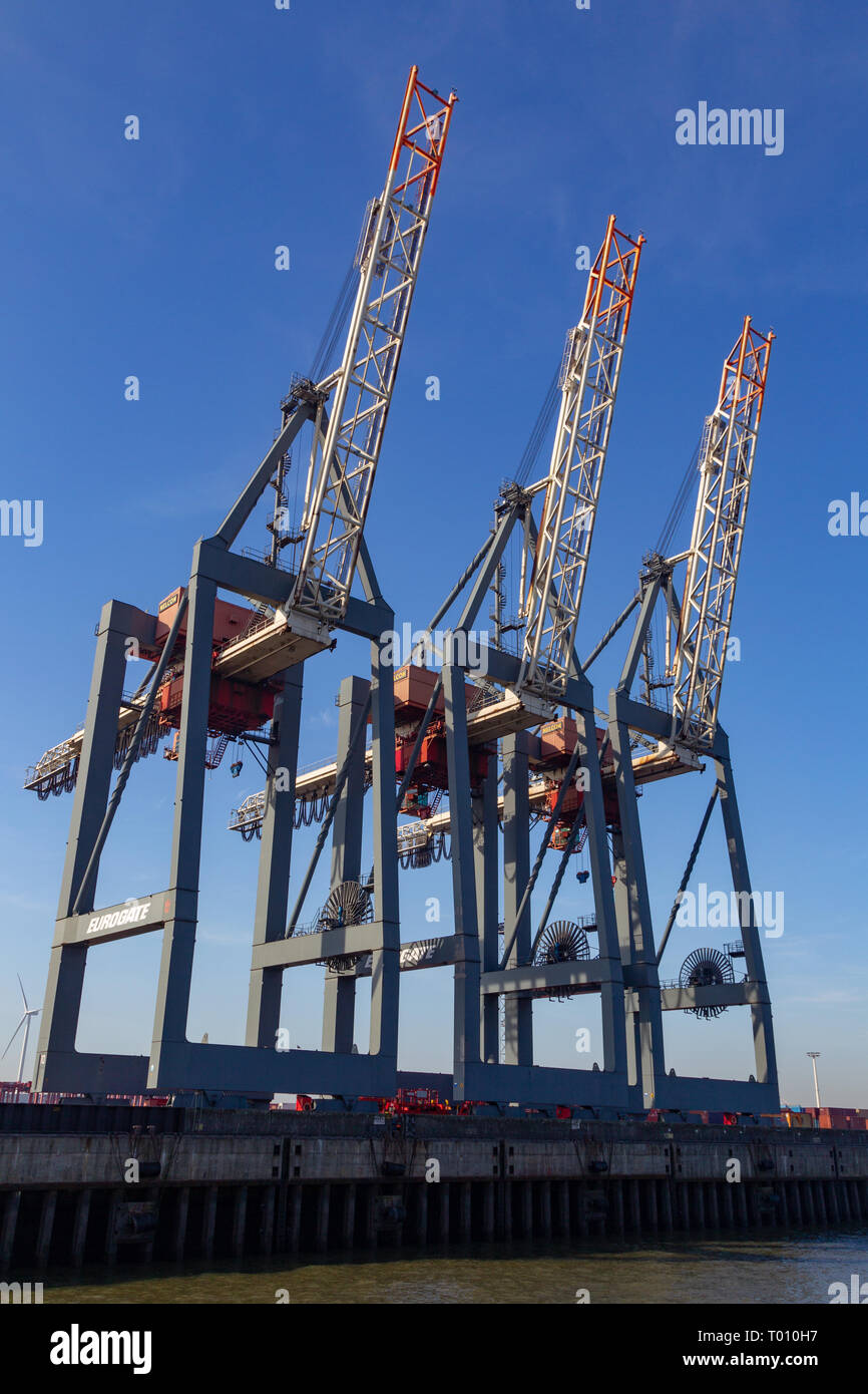 Container cranes at Burchardkai in the harbour of Hamburg, Germany. Stock Photo