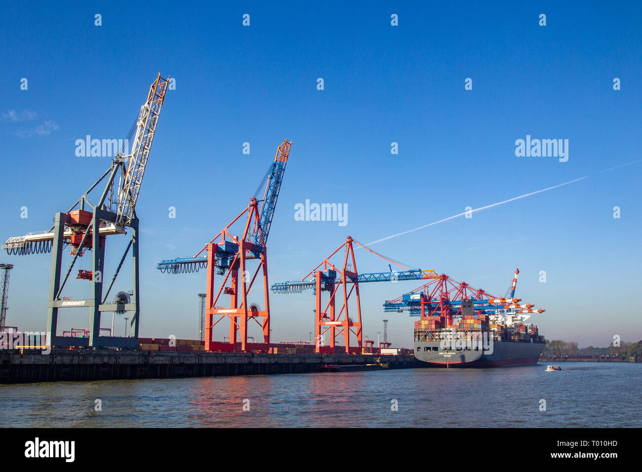 Container cranes at Burchardkai in the harbour of Hamburg, Germany. Stock Photo