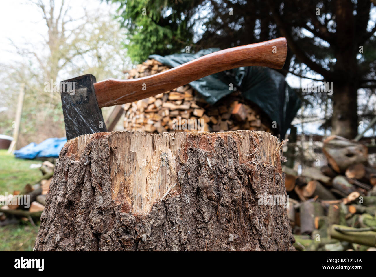 an axe for chopping wood Stock Photo Alamy