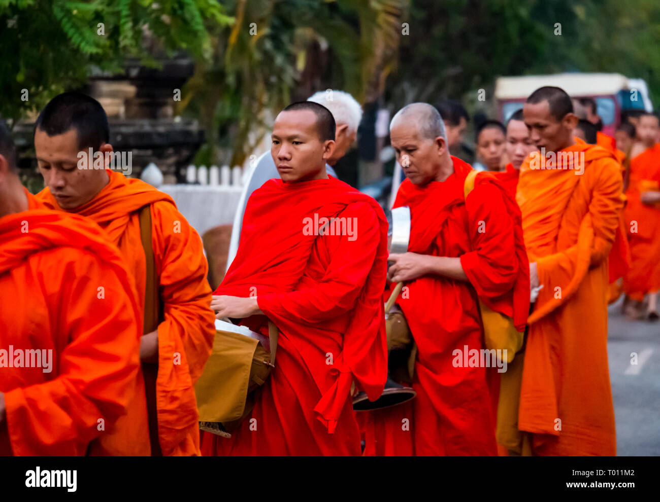 Buddhist monks in orange robes queue for morning alms giving ceremony
