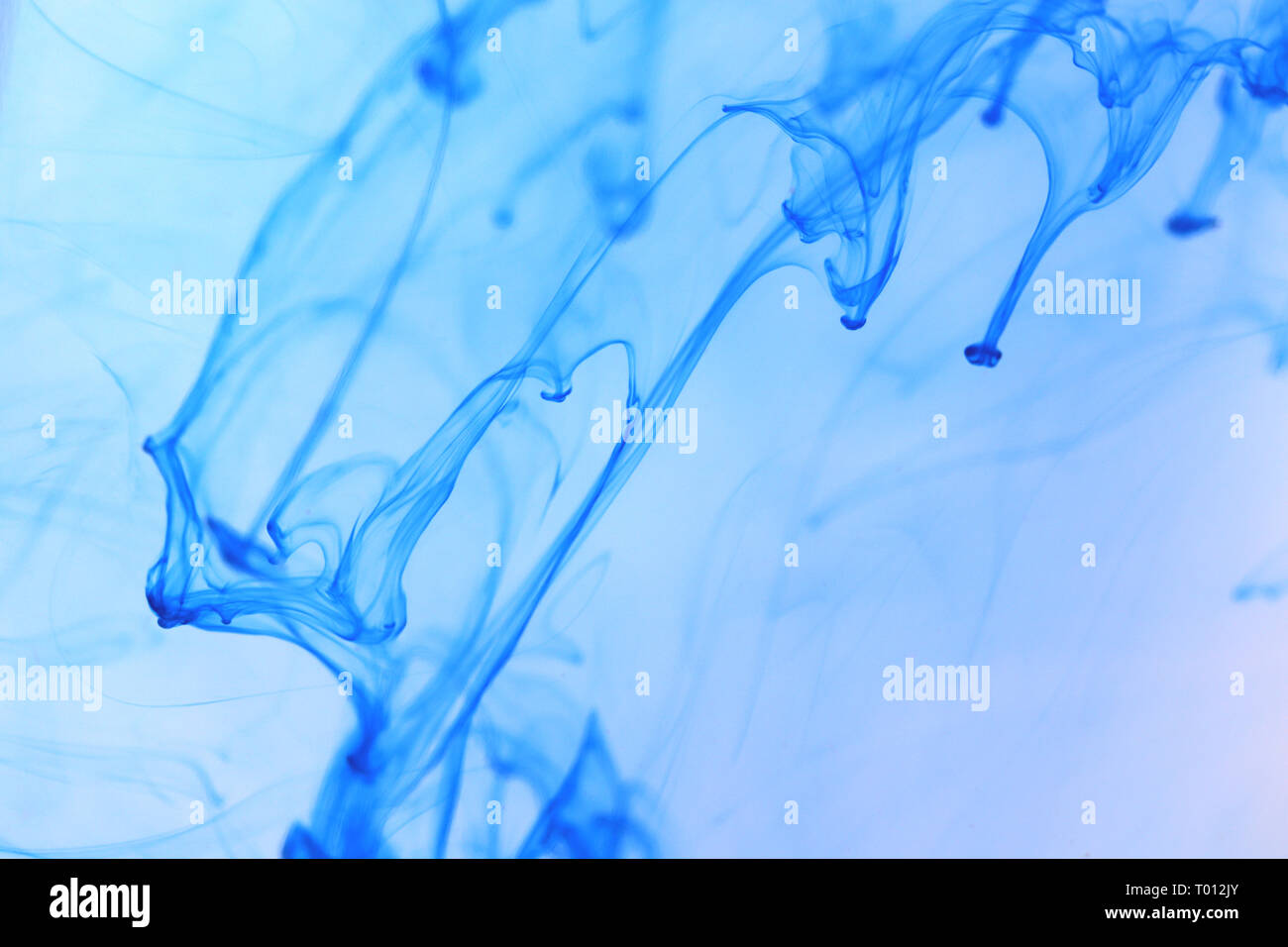 Ambient Ink Drips Dynamic in Water. Abstract Background Stock Photo - Alamy
