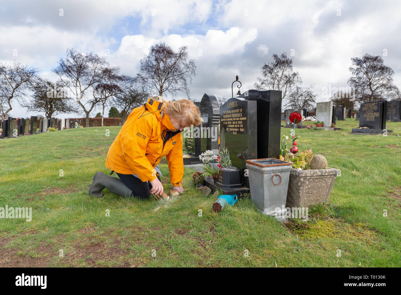Mature lady plants the ashes of a loved pet into a hole dug in the grave of the animal’s owner on a windy day – Fox Covert, Red Lane, Appleton, Warrin Stock Photo