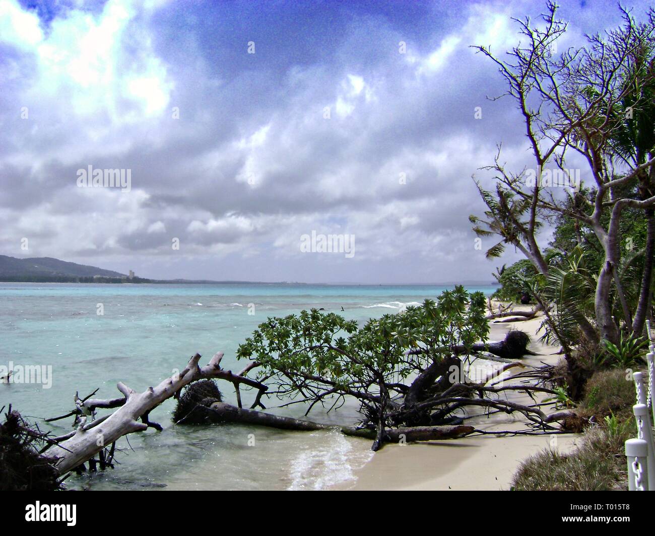 Storms uprooted trees and broke off branches cluttering the beautiful white sand beach of Managaha Island, Saipan Stock Photo