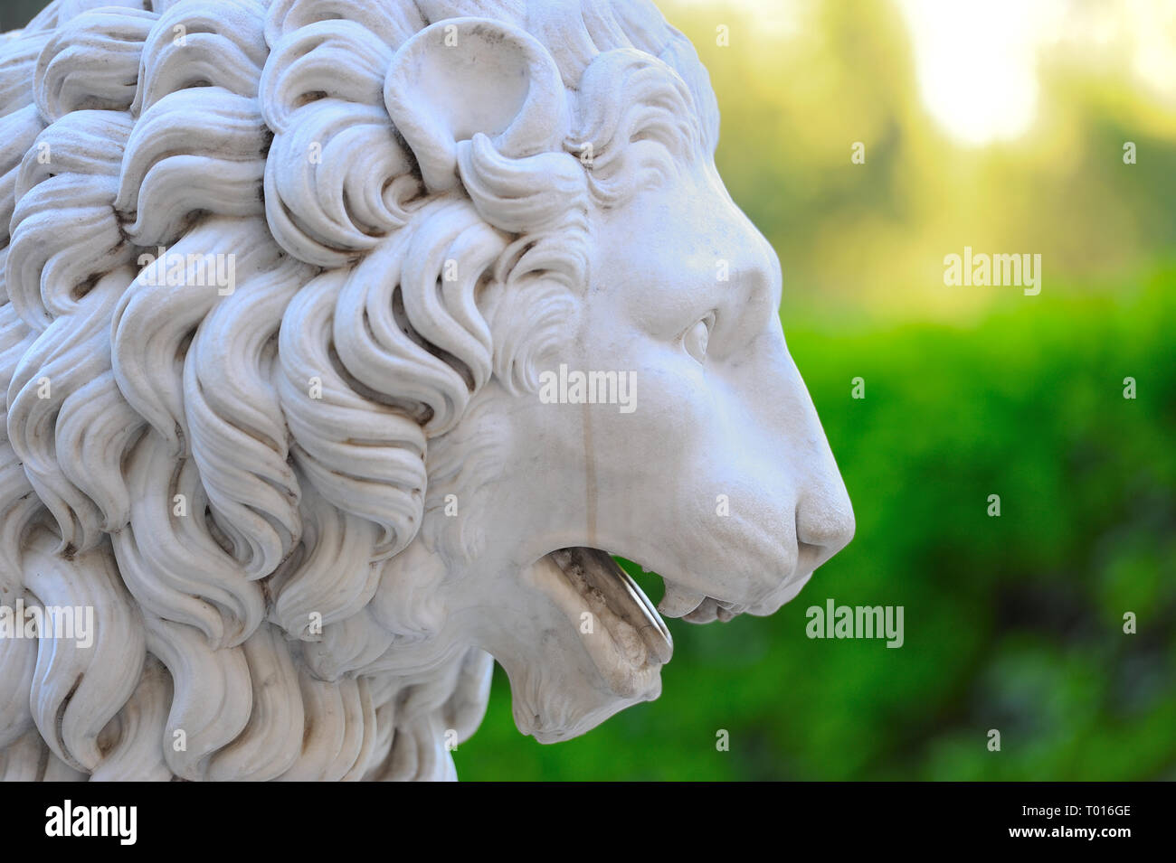 lion head sculpture Stock Photo
