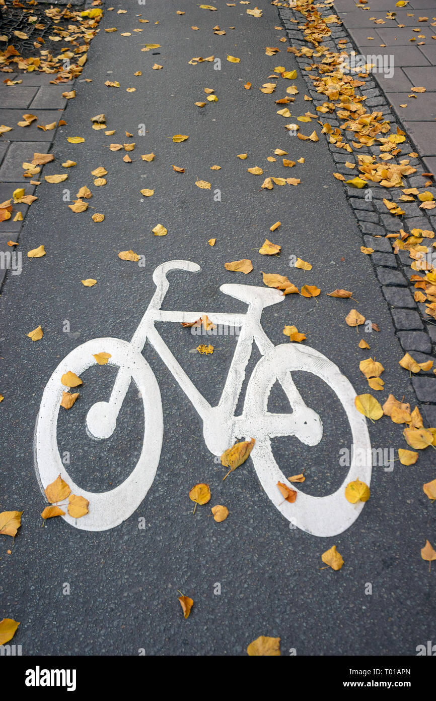 Bike lane covered by golden yellow leaves. Stockholm Sweden Stock Photo