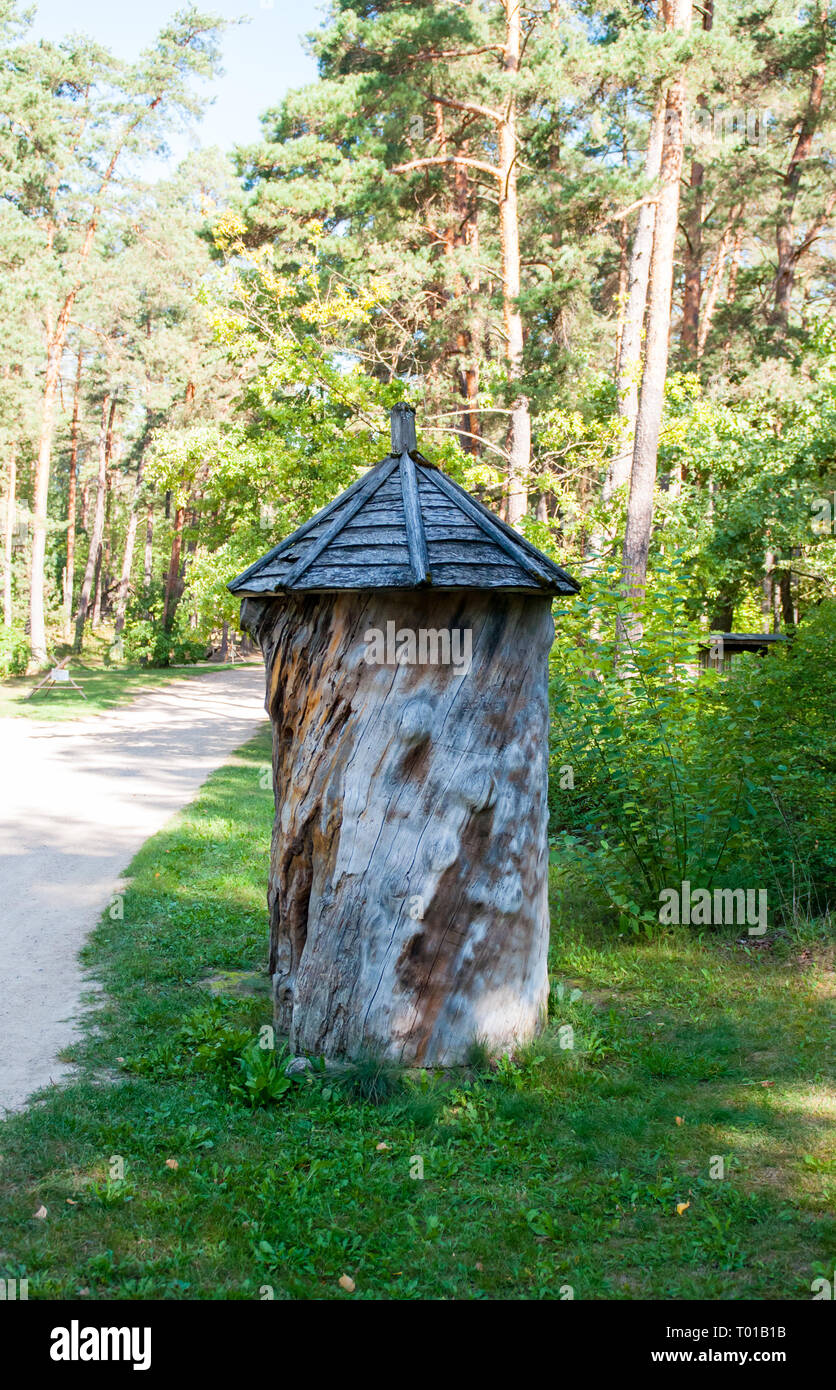 Old beehive in the forest. Warm bright summer day. Stock Photo