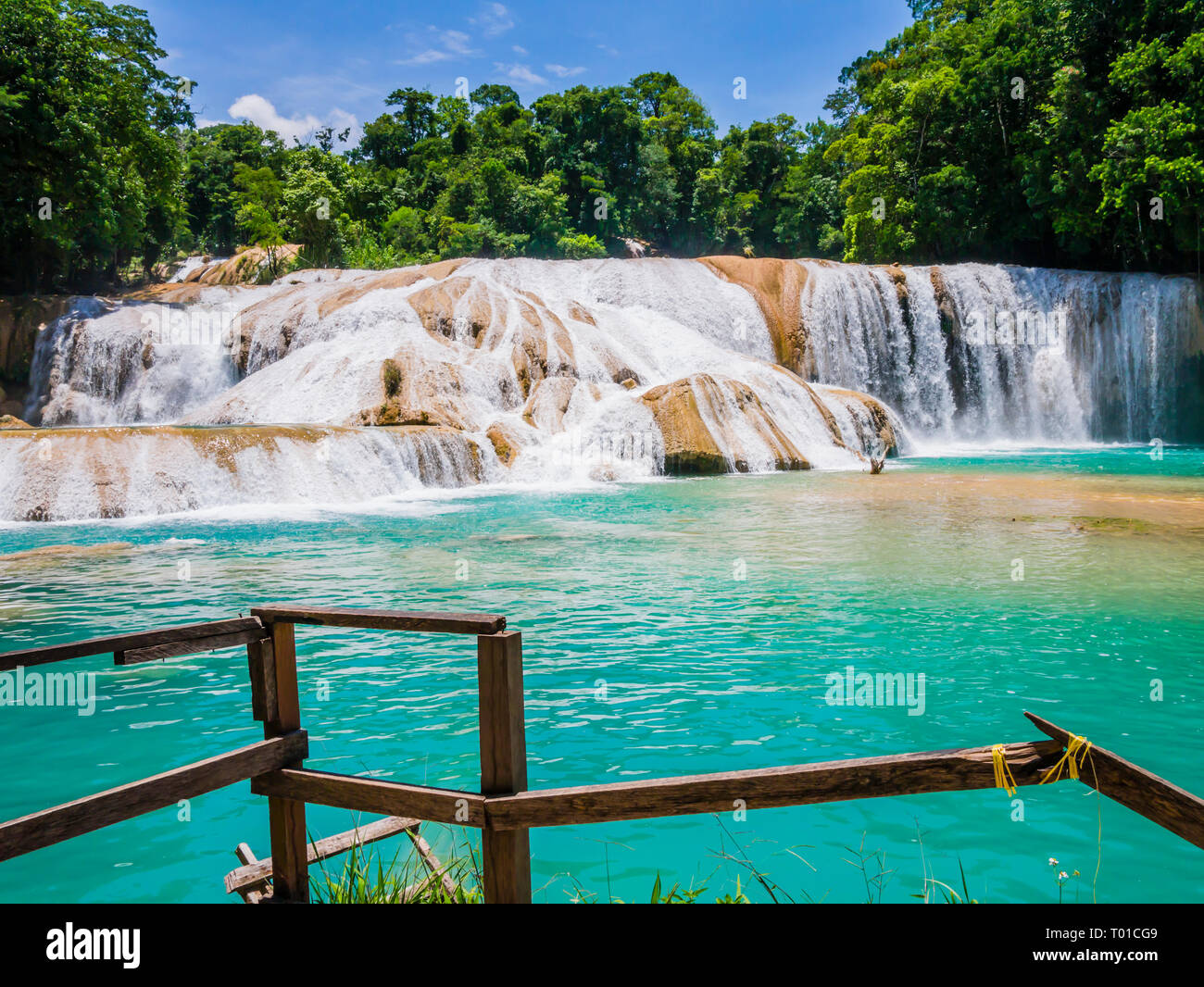 Amazing view of Agua Azul waterfalls in the lush rainforest of Chiapas, Mexico Stock Photo