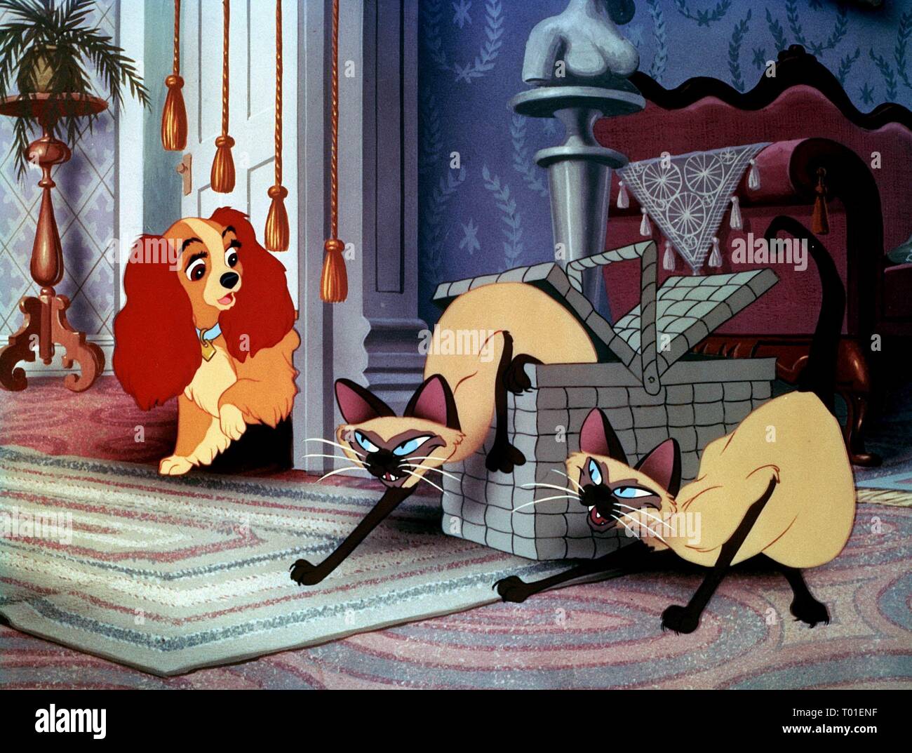 LADY, SI, AM THE SIAMESE CATS, LADY AND THE TRAMP, 1955 Stock Photo