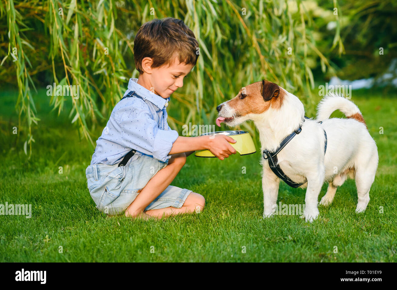 Small boy holding dog bowl in hands to water thirsty his pet dog Stock Photo