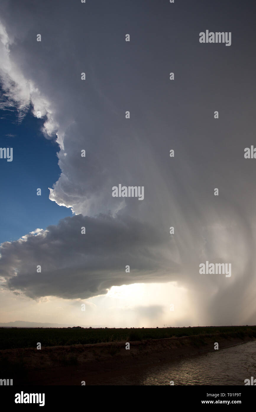 Tornillo hires stock photography and images Alamy