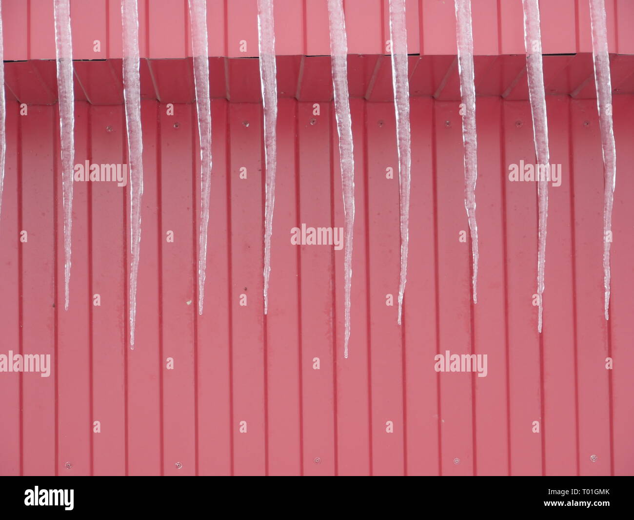 Long icicles on the red wall Stock Photo