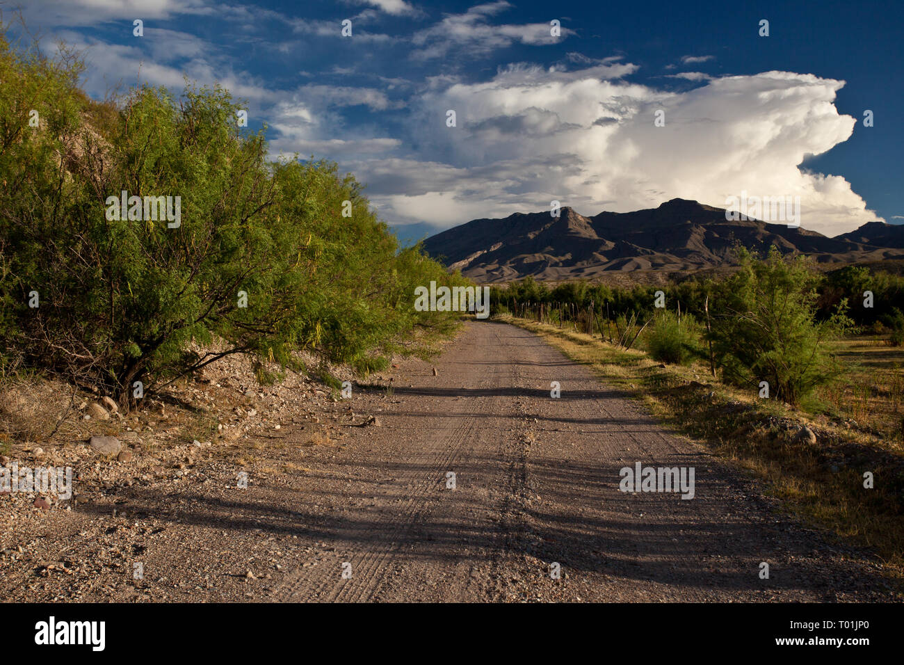 , Presidio County, Texas, USA Stock Photo Alamy