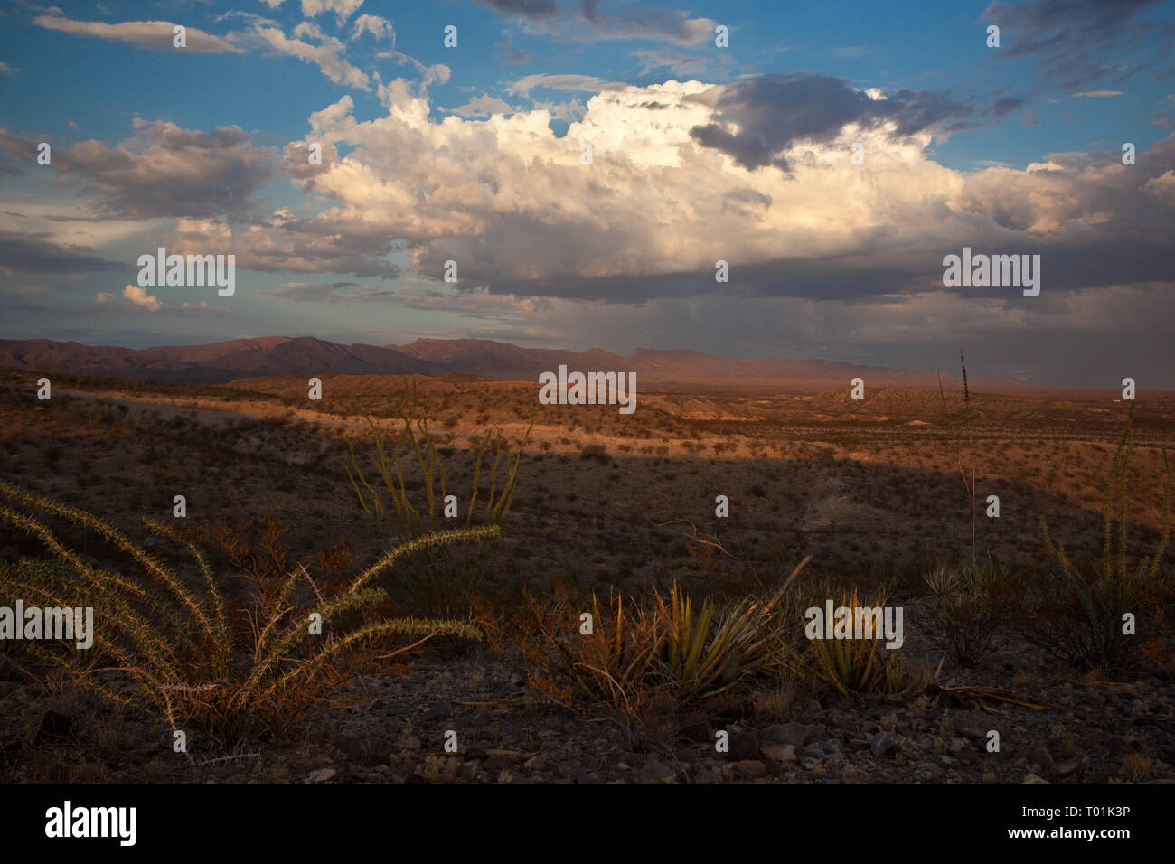 Fort Quitman, Hudspeth County, Texas, USA Stock Photo - Alamy