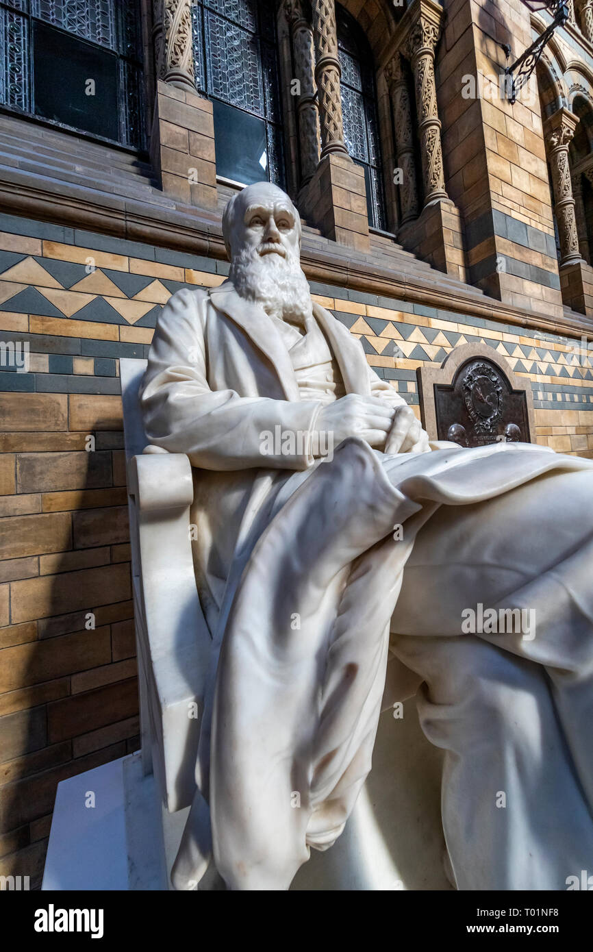 Natural light illuminates the statue of Charles Darwin in the Main Hall ...