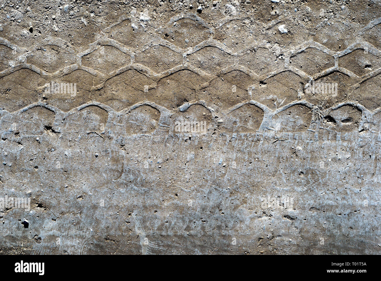 Dried car vehicle tire tracks on a dirty dusty road in horizontal