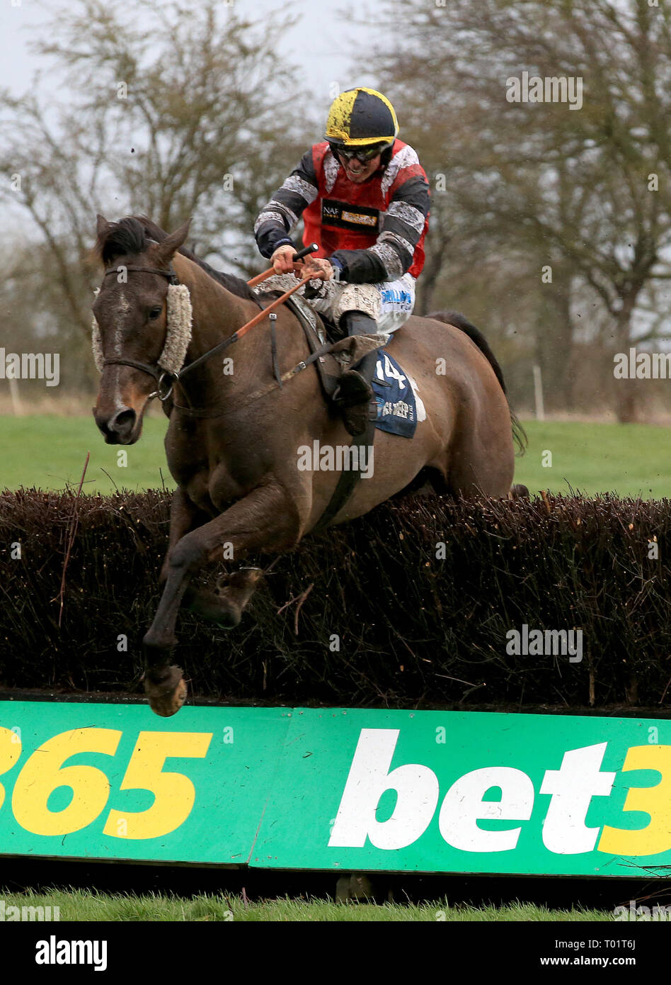 Potters corner horse hires stock photography and images Alamy