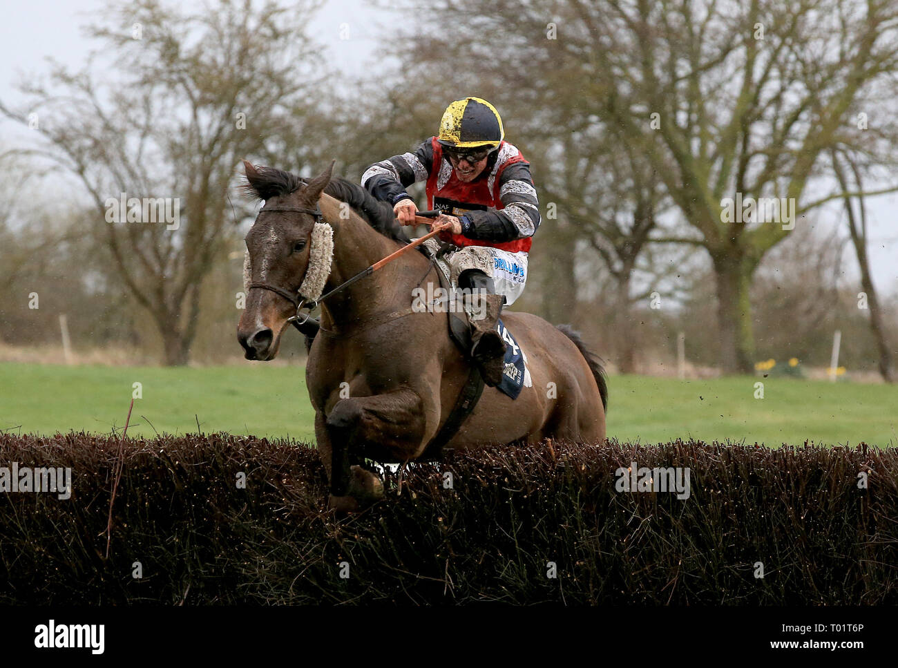 Potters corner horse hires stock photography and images Alamy