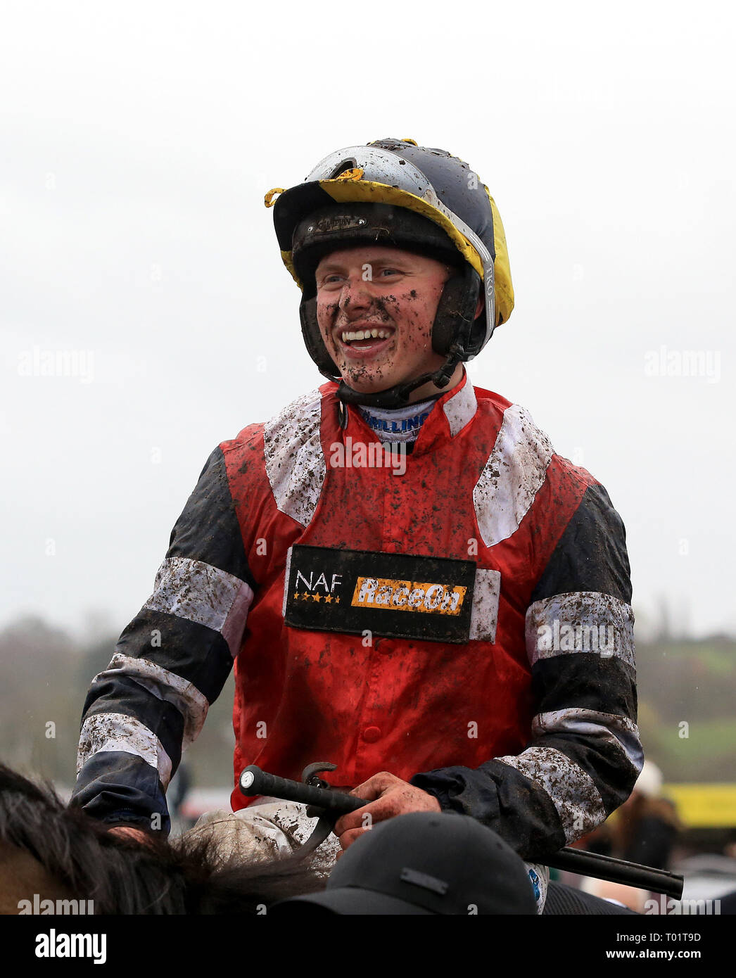 Potters corner horse hires stock photography and images Alamy