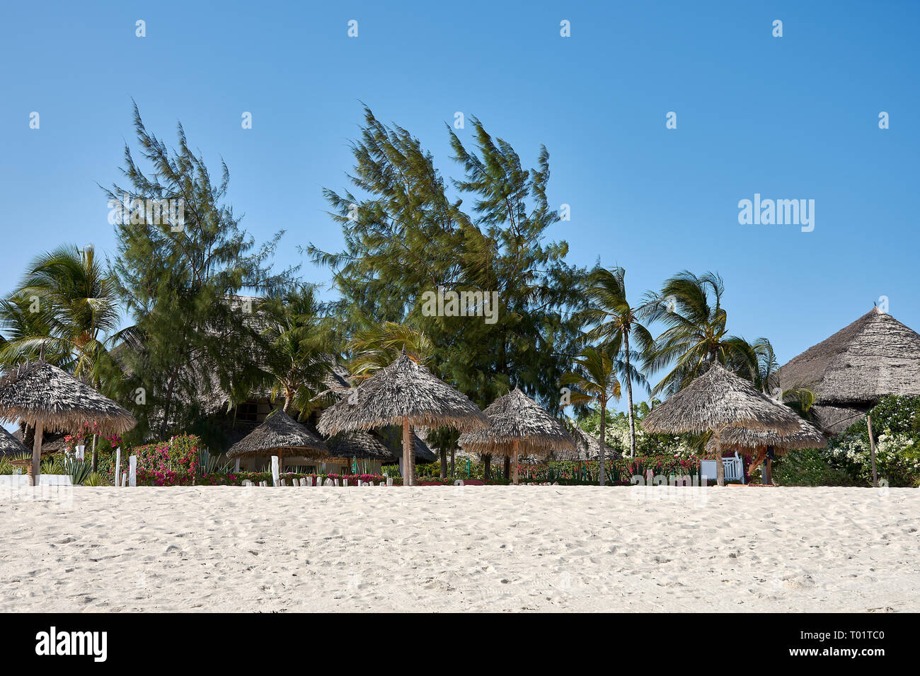 Holidays in Kenya. Coastline with beach on sea shore in Watamu area in Africa. Stock Photo