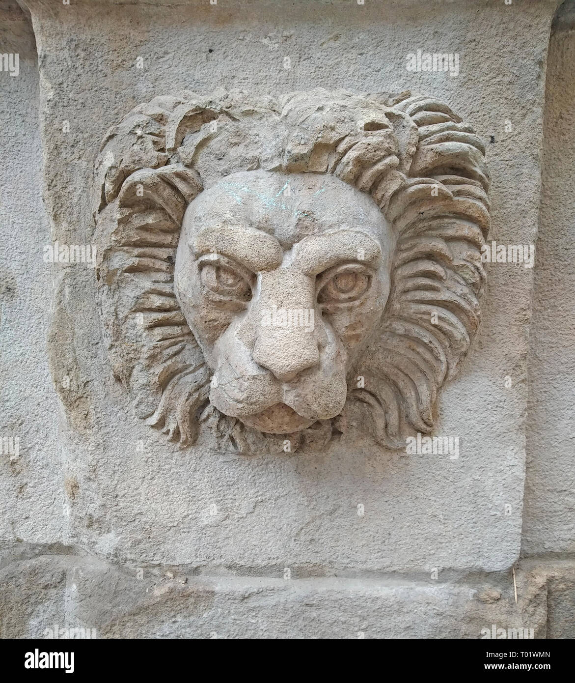 Lion head on a building wall in lviv Stock Photo Alamy