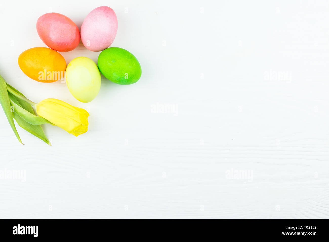 Easter eggs and a flower on a white background Stock Photo - Alamy