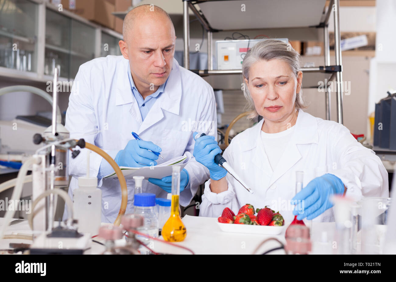 Two experienced biochemists checking fruits and vegetables for nitrates and pesticides in modern laboratory, recording experimental procedure and resu Stock Photo