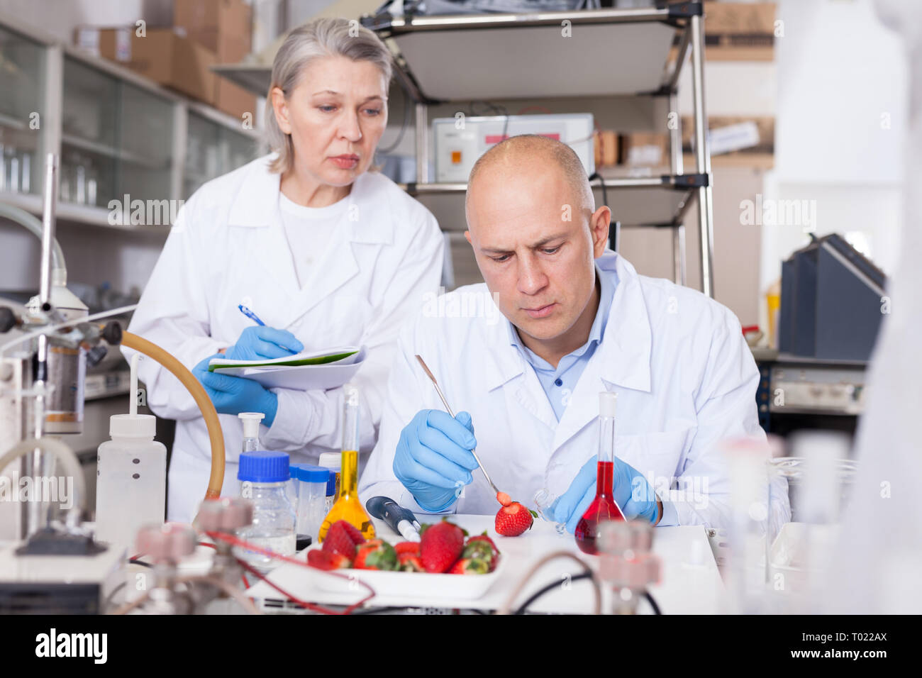Two experienced biochemists checking fruits and vegetables for nitrates and pesticides in modern laboratory, recording experimental procedure and resu Stock Photo