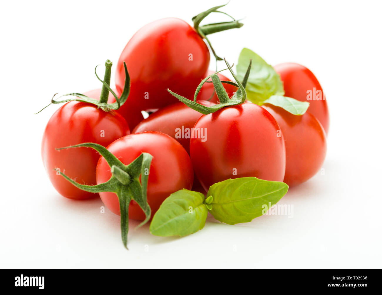 cherry tomatoes on a white background Stock Photo - Alamy