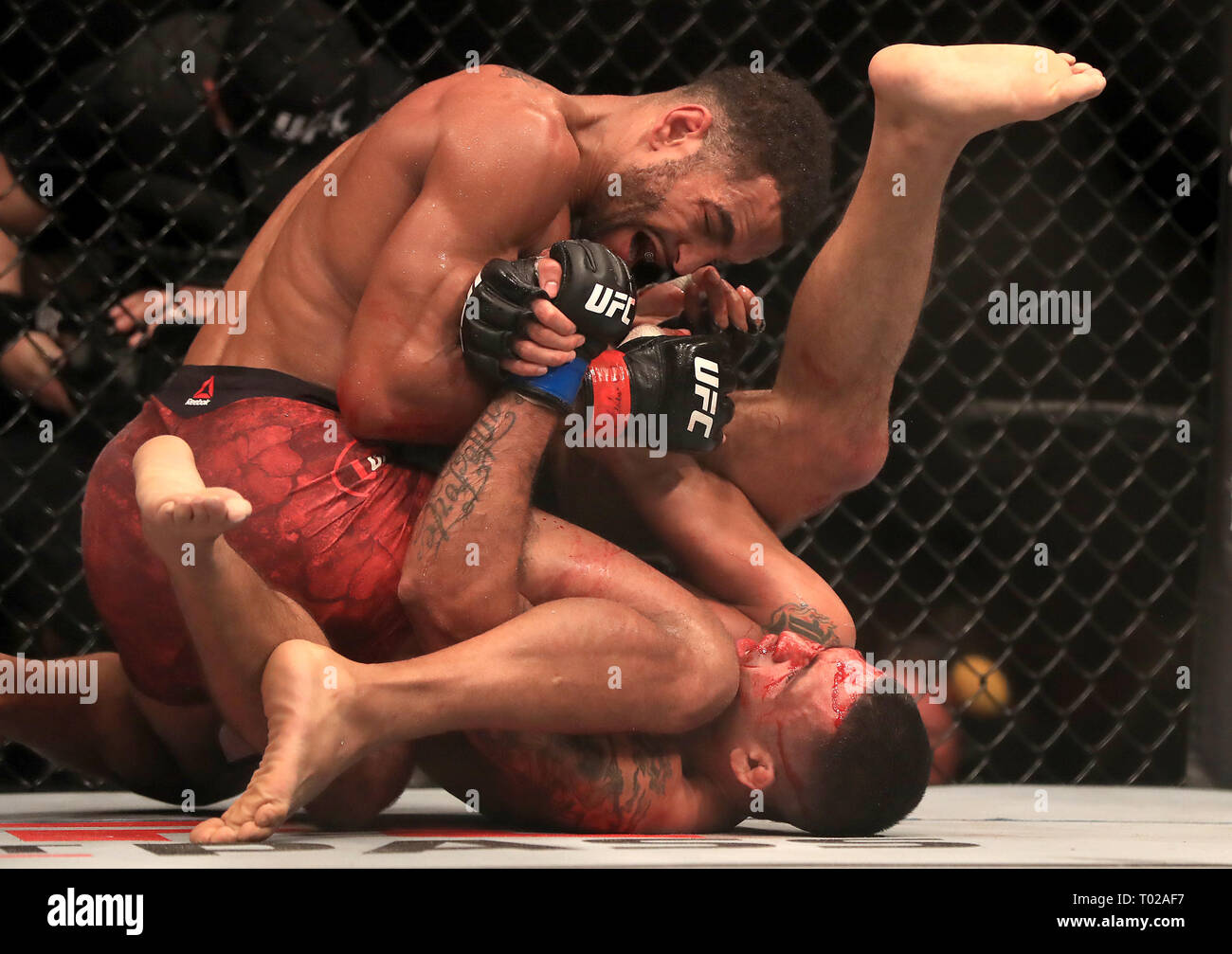 Claudio Silva bottom and Danny Roberts in action during their
