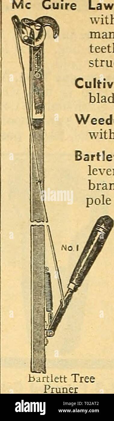 Dandy Book Stock Photos Dandy Book Stock Images Alamy