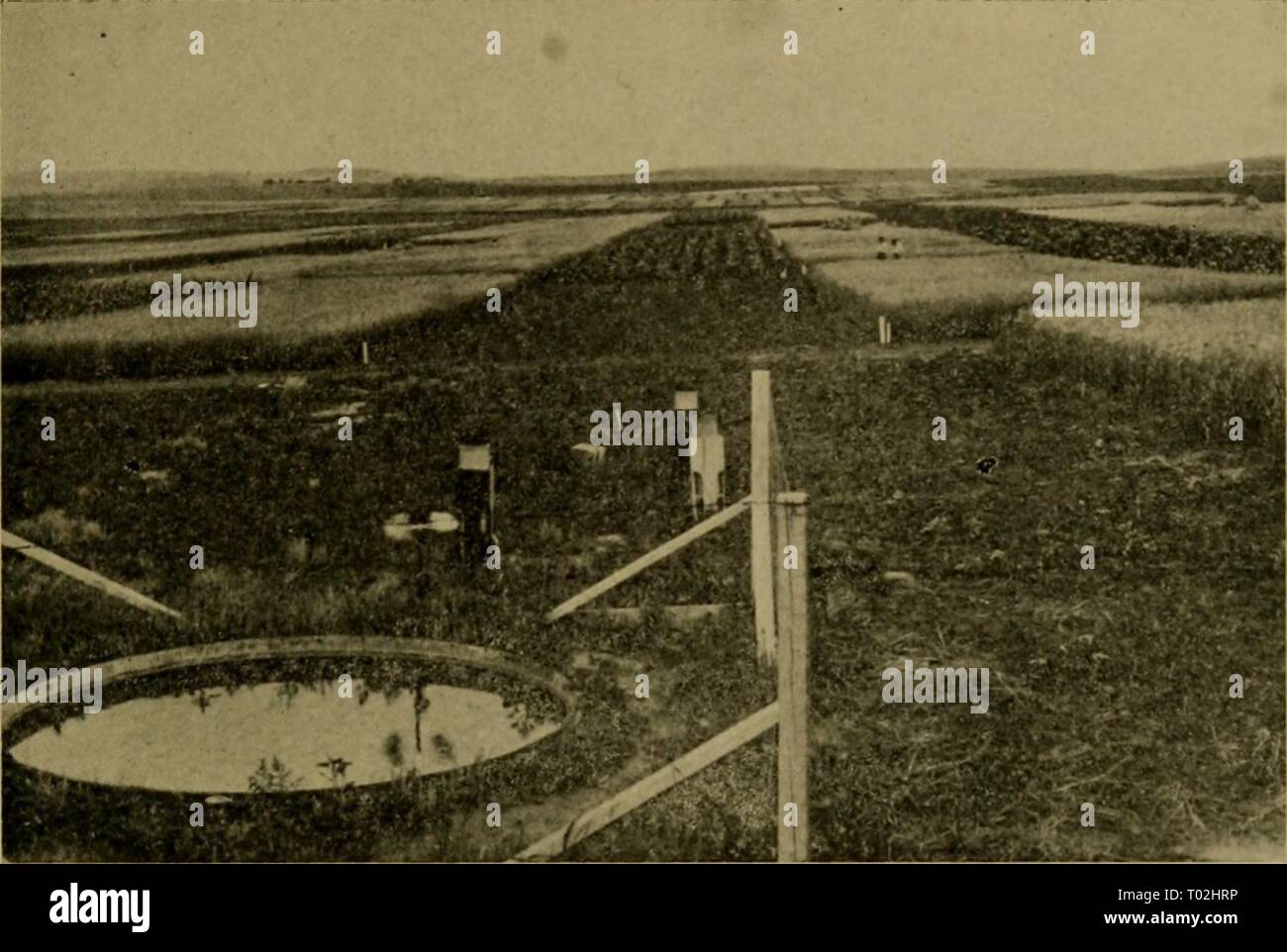 Dryfarming its principles and practice . dryfarmingitspri00macd Year