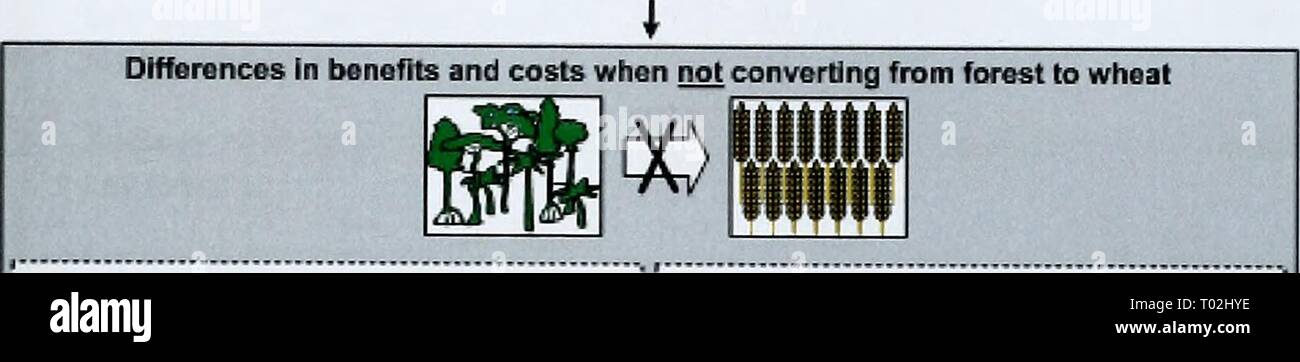 A Fb High Resolution Stock Photography And Images Alamy