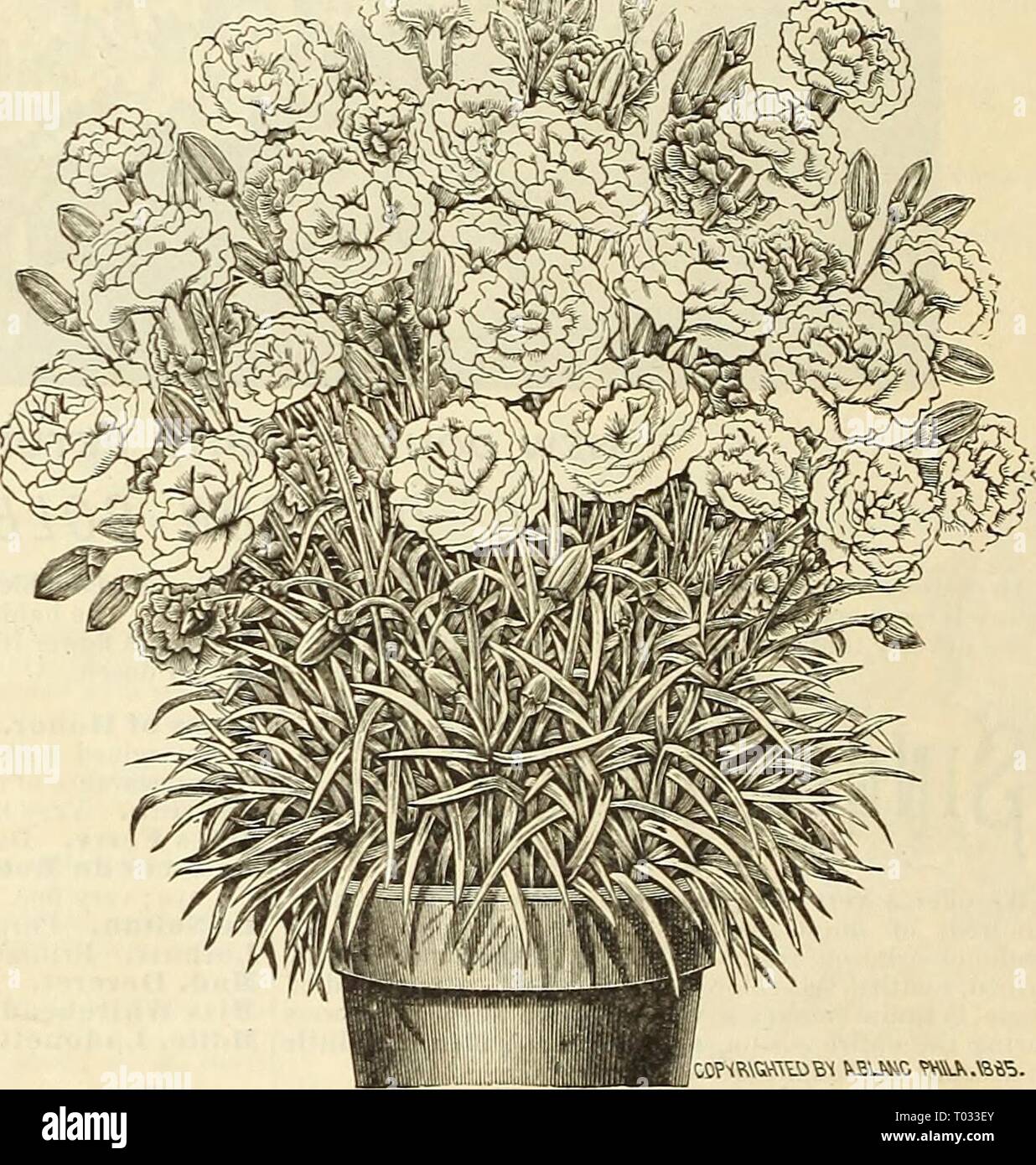 Dreer's garden calendar : 1886 . dreersgardencale1886henr Year: 1886  104 DREER'S GARDEN CALENDAR. PH LOX—t'ojitmitecZ. Maid of Kent. Light lilac, broad white stripe. 3Iadame Crousse. Pure white, purplish crimson eye; fine flowers. New Life. Bright salmou. Priucesse de Fursteuberg. Very large, white; car- mine eye. Roi des Roses. Deep rose, centre crimson. Sir E. Landseer. Very brilliant dark crimson; large fine flower. Saison Lierval. White, centre violet rose. Souv. de Louis Vau Houtte. Light rose, cerise eye ; fine. Stanstead Rival. Rose, shaded pink, dark crimson eye. Surprise. Light lilac Stock Photo