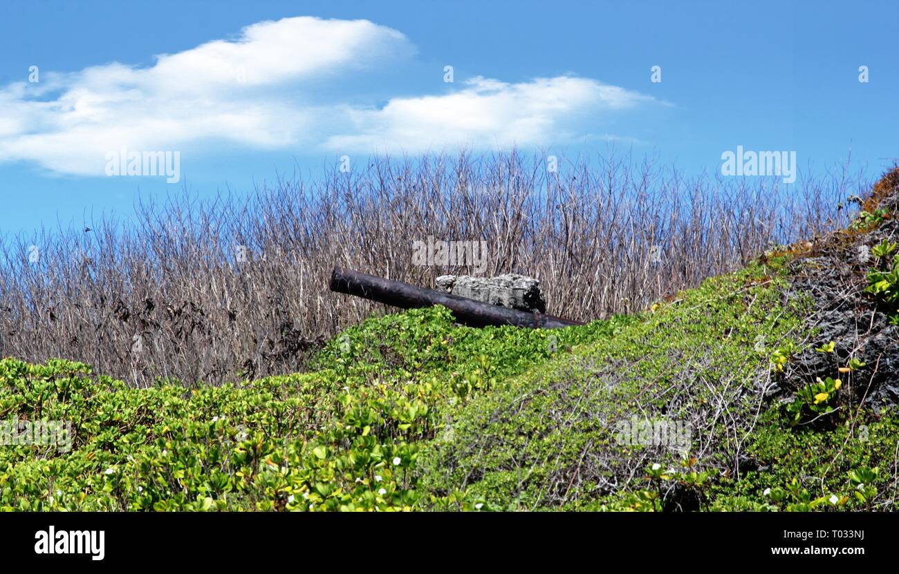 Rugged coastline area with an old Japanese world war 11 cannon at Naftan Point, Saipan Stock Photo