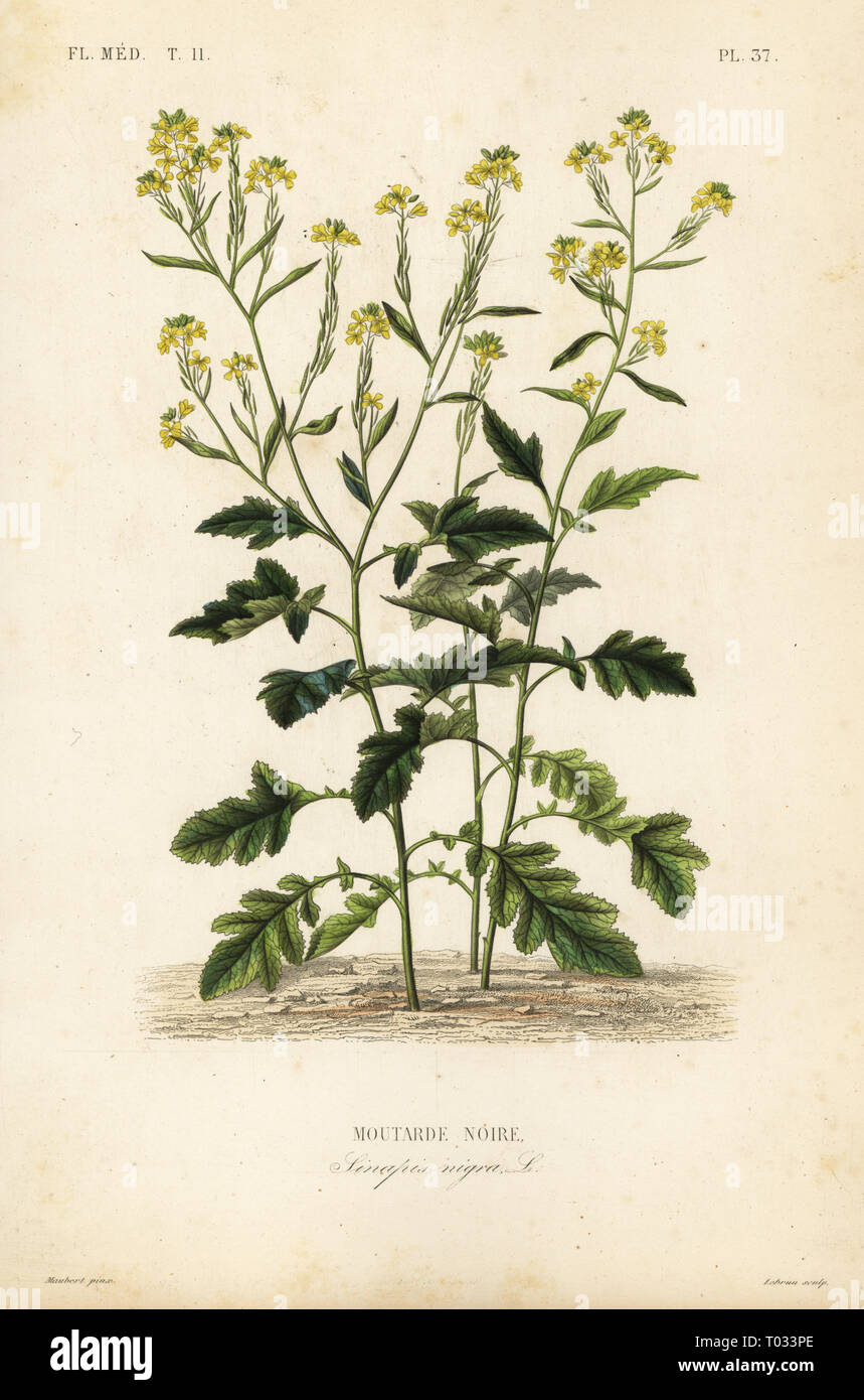 brassière noire femme