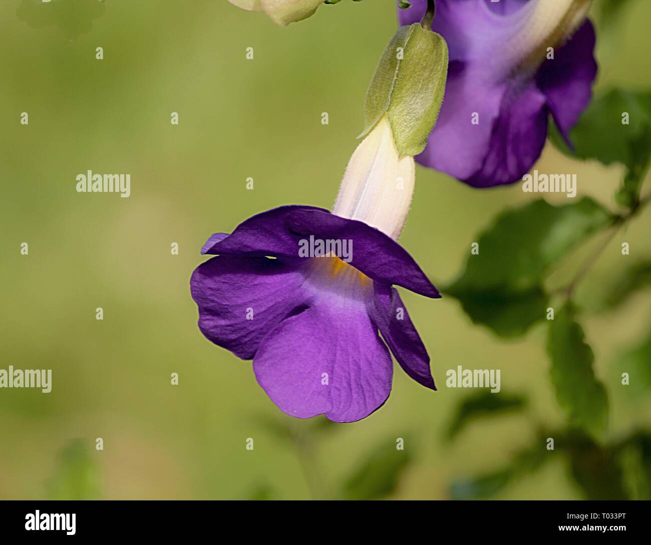 My Image 18