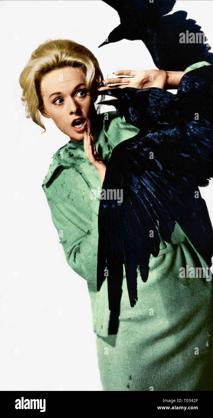 TIPPI HEDREN, THE BIRDS, 1963 Stock Photo