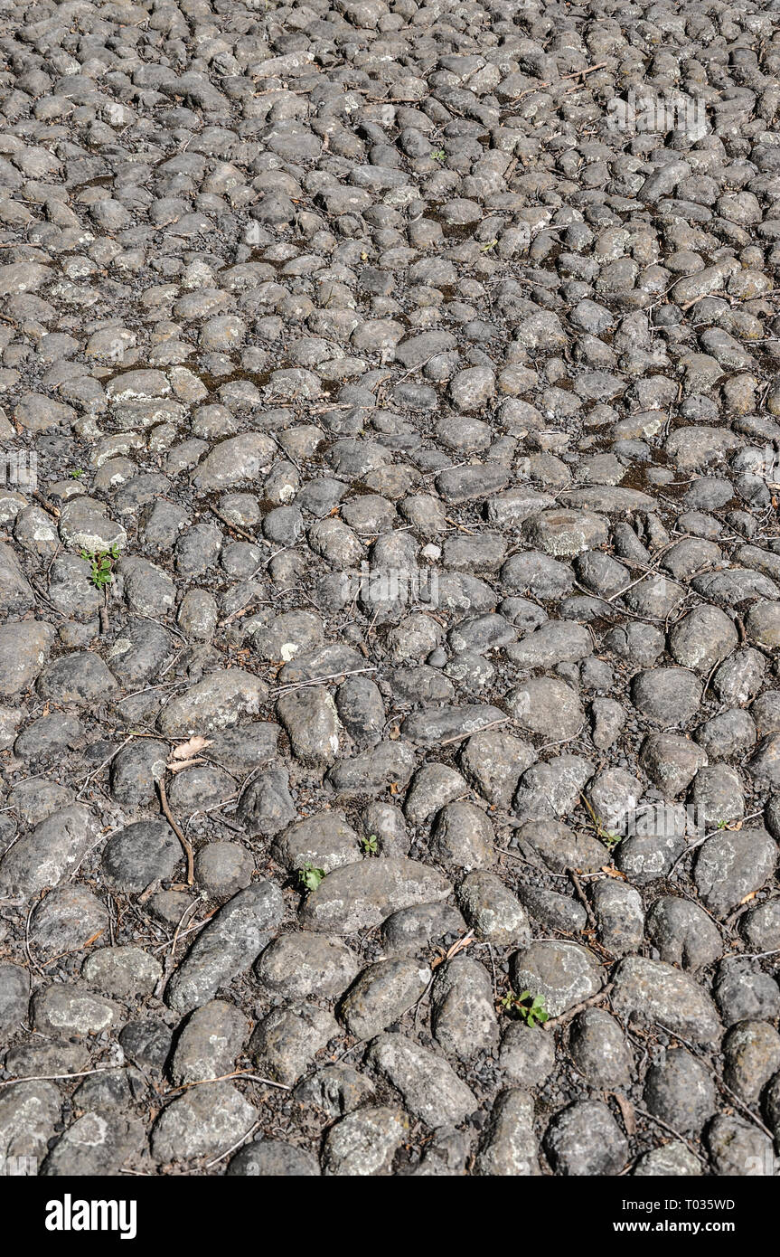 Cobblestones in Greytown, New Zealand. Cobble stone pavement surface
