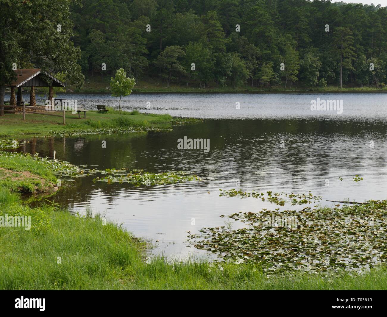 Lake Carlton Robbers Cave State Park Wilburton Oklahoma Stock Photo