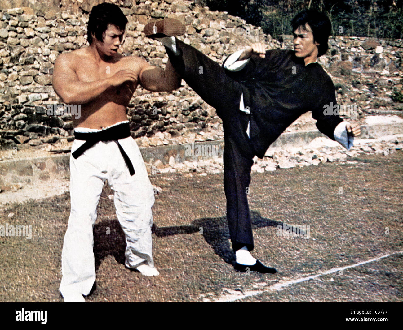bolo enter the dragon