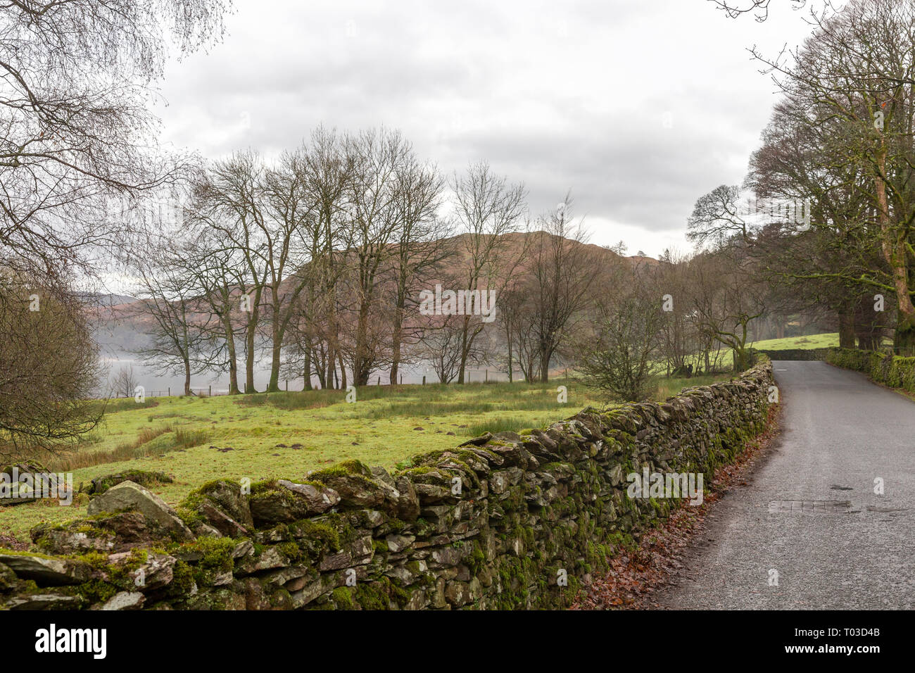 Country lane and dry stone wall beside Lake Grasmere, Grasmere in the Lake District national park,Cumbria,England Stock Photo