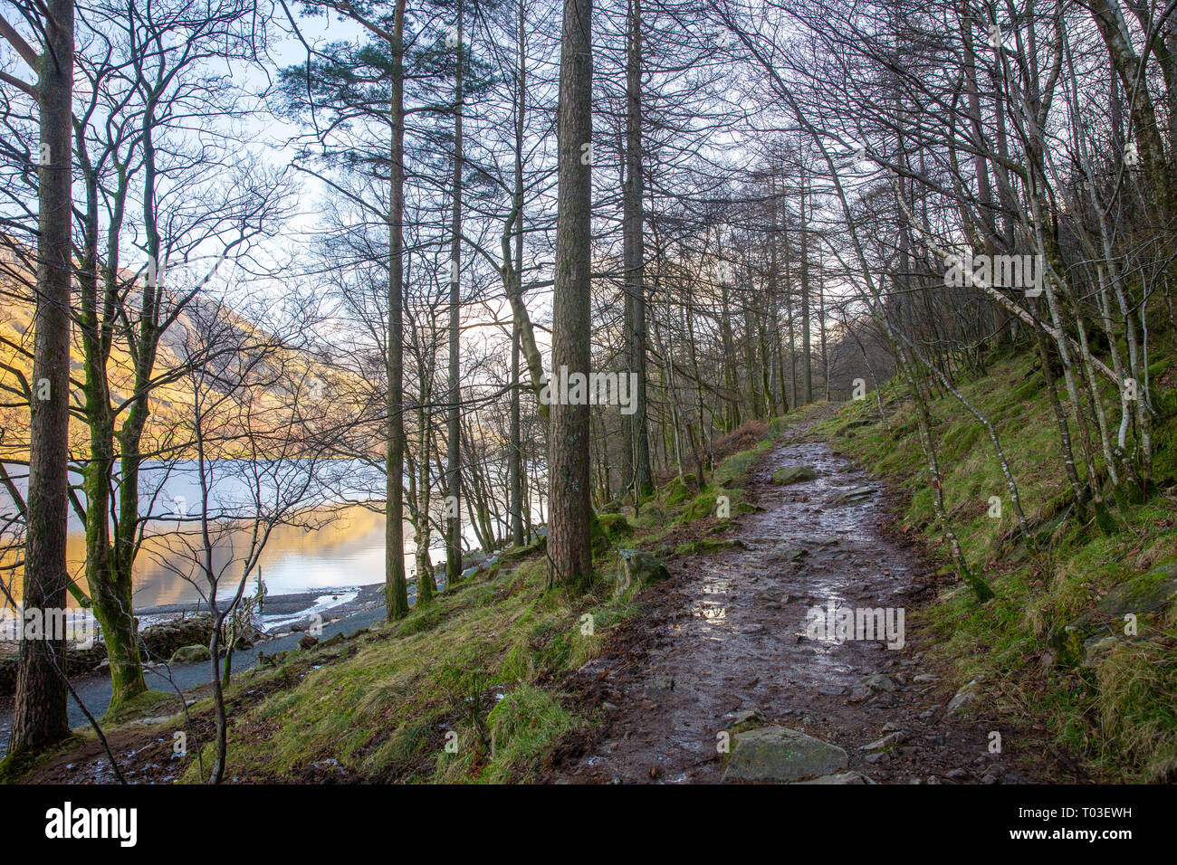 Mud covered pathway for walkers to walk round lake Buttermere in the