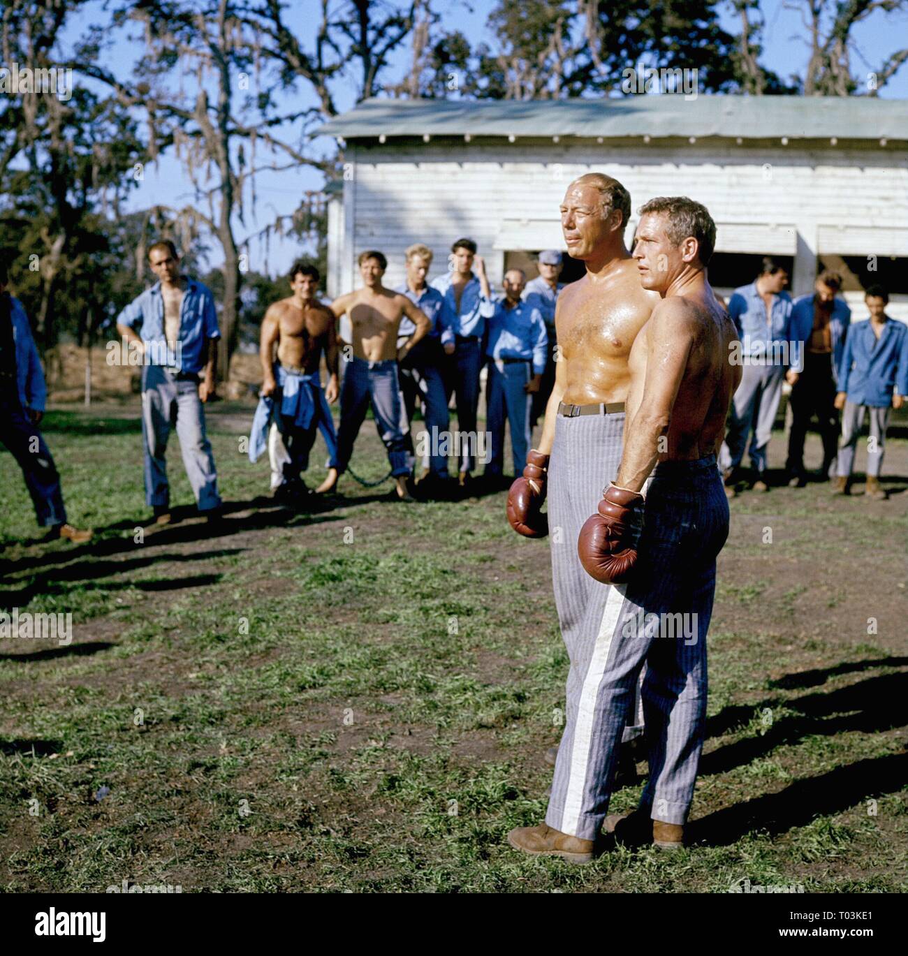 GEORGE KENNEDY, PAUL NEWMAN, COOL HAND LUKE, 1967 Stock Photo